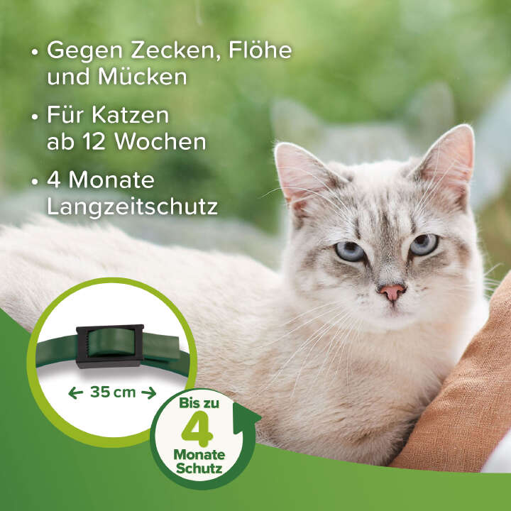beaphar Zecken- und Flohschutz Halsband für Katzen